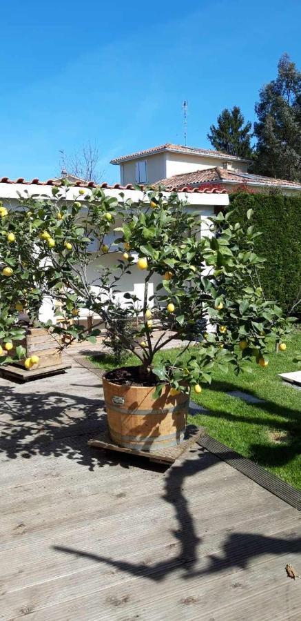 Chez Jeanfi Bed & Breakfast Fronsac  ภายนอก รูปภาพ